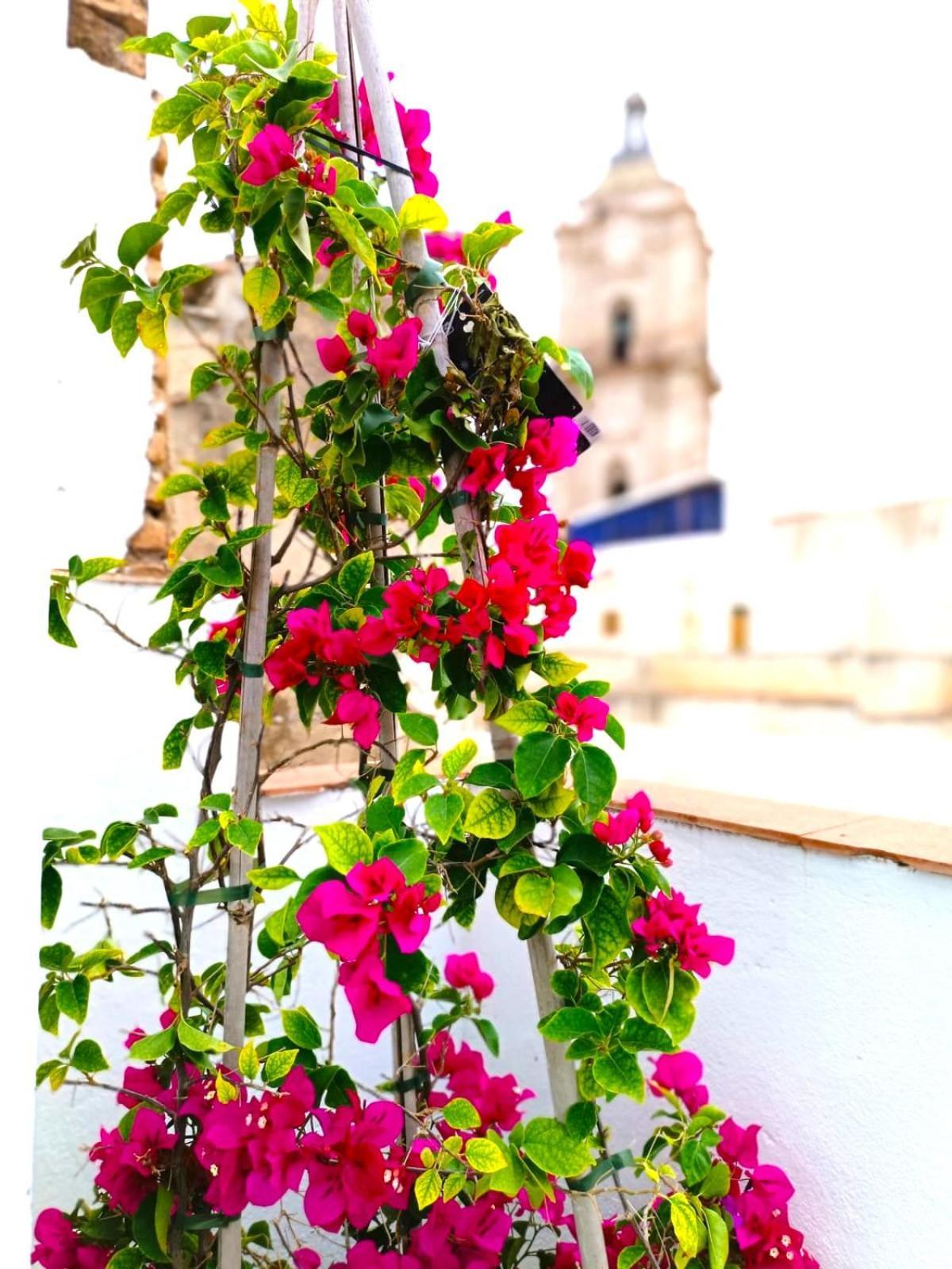 Apartamentos Calle Nueva Málaga Extérieur photo
